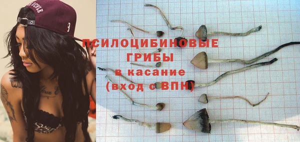 марихуана Заводоуковск