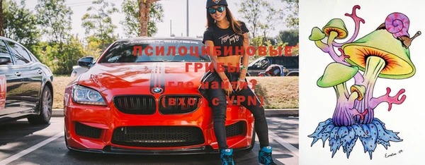 марихуана Заводоуковск