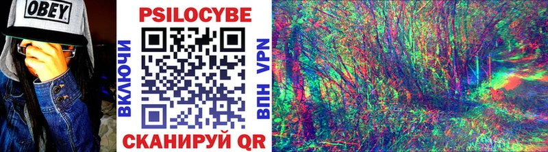 Псилоцибиновые грибы Cubensis дарнет шоп Сердобск