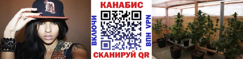где можно купить наркотик Сердобск Шишки марихуана индика