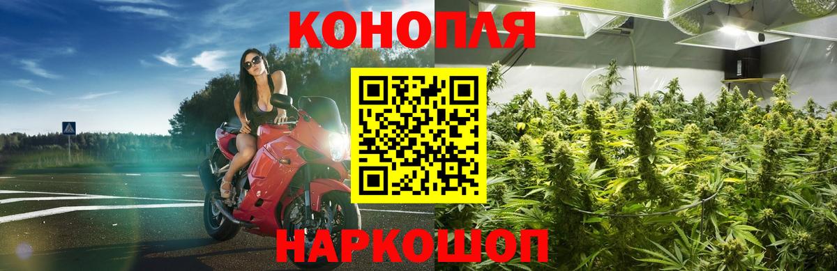 Каннабис Amnesia Сердобск